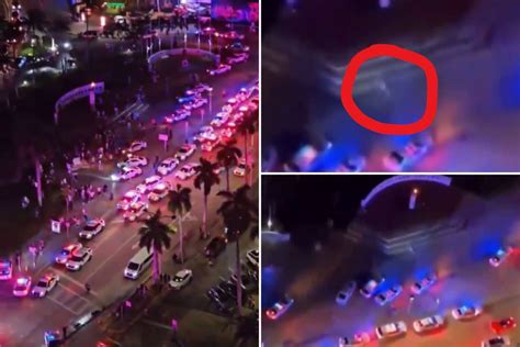 miami mall alien|Miami Police Explain What Was Behind Large Police Presence。